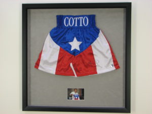 Cotto Shorts
